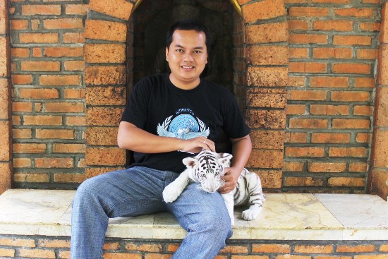 The Baby White Tiger