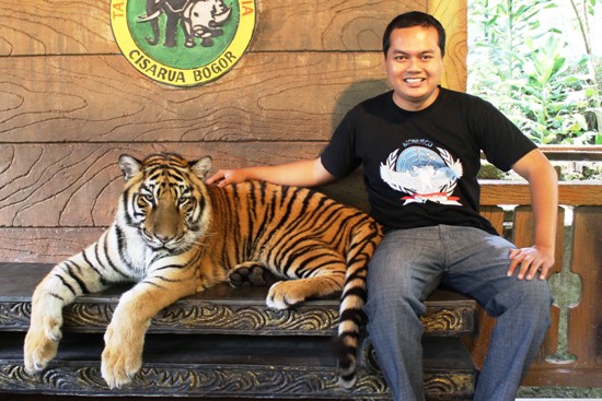 Big Tiger